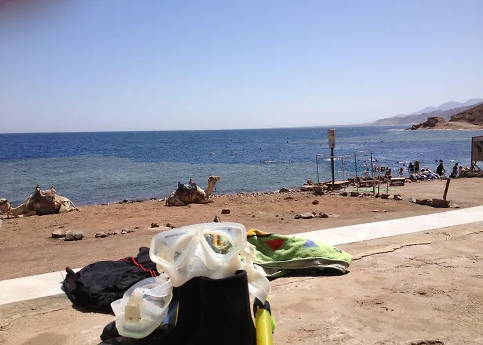 Inmo Divers 3*